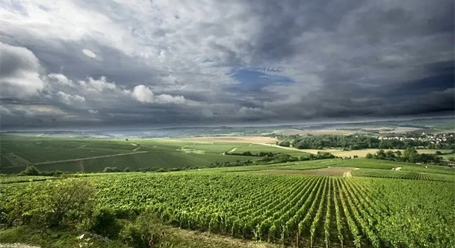 意大利威尼托葡萄酒產(chǎn)區(qū) 意大利威尼托葡萄酒產(chǎn)區(qū)