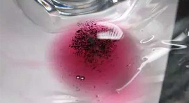 863_副本 863_副本