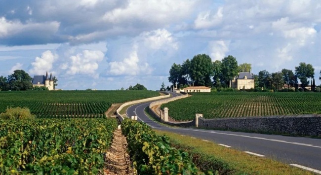 法國(guó)波爾多_650 法國(guó)波爾多_650