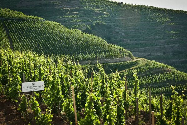 波爾多赫米塔西葡萄酒產區